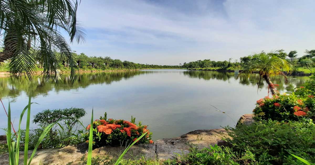 quy-mo-ho-dieu-hoa-ban-dao-vuon-hong